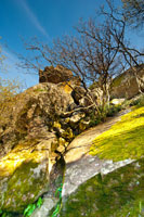 HD-фотопейзаж с растущим на скале кустом в Воронцовском парке в Алупке в Крыму