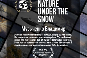  TOP 6% Nature under the snow contest       35AWARDS:   