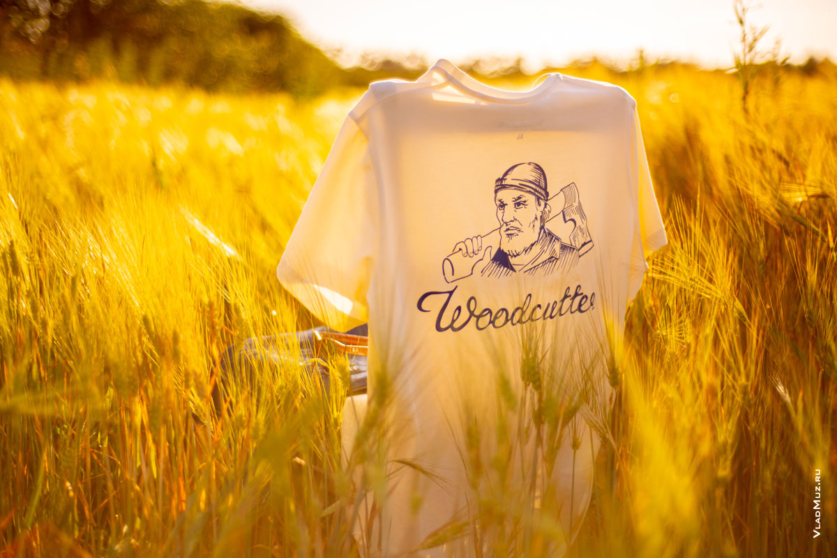 Летнее фото футболки с логотипом Woodcutter на спинке стула в ржаном поле в контровом свете солнца
