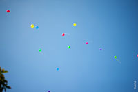 Фото воздушных шаров в небе Новочеркасска над Соцгородом