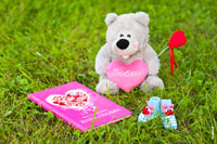 Семейный фотонатюрморт на природе: свадебный фотоальбом на зеленой траве, голубые пинетки и мягкая игрушка медведя с розовым сердцем и словом «Люблю»