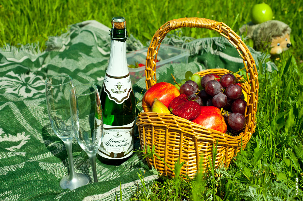 Фото натюрморта на траве с шампанским и фруктами