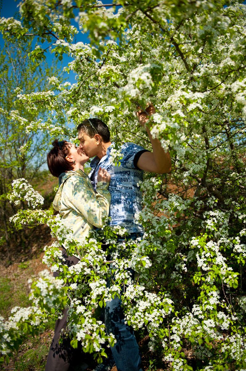 Фото поцелуя влюбленной пары в гуще цветущих ветвей