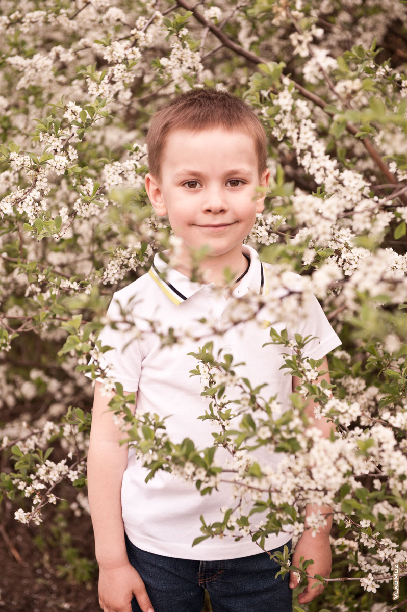 Детский фотопортрет на фоне цветущих деревьев