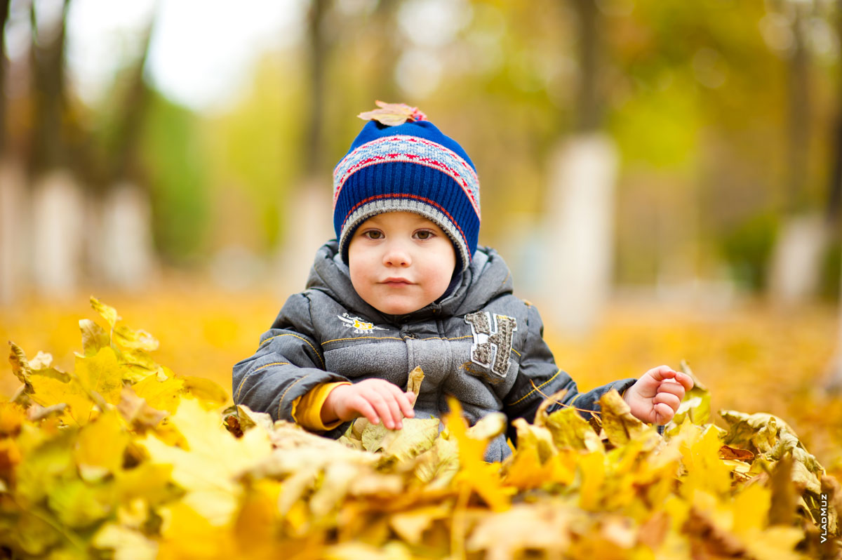 Осеннее фото ребенка в парке на фоне желтых опавших листьев