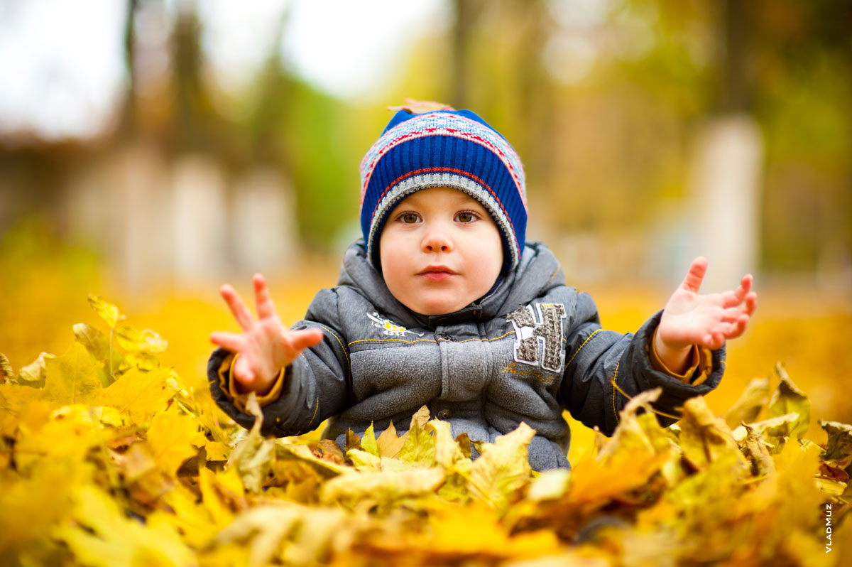 Осеннее фото ребенка, с расставленными перед собой руками, сидя в парке на желтых листьях