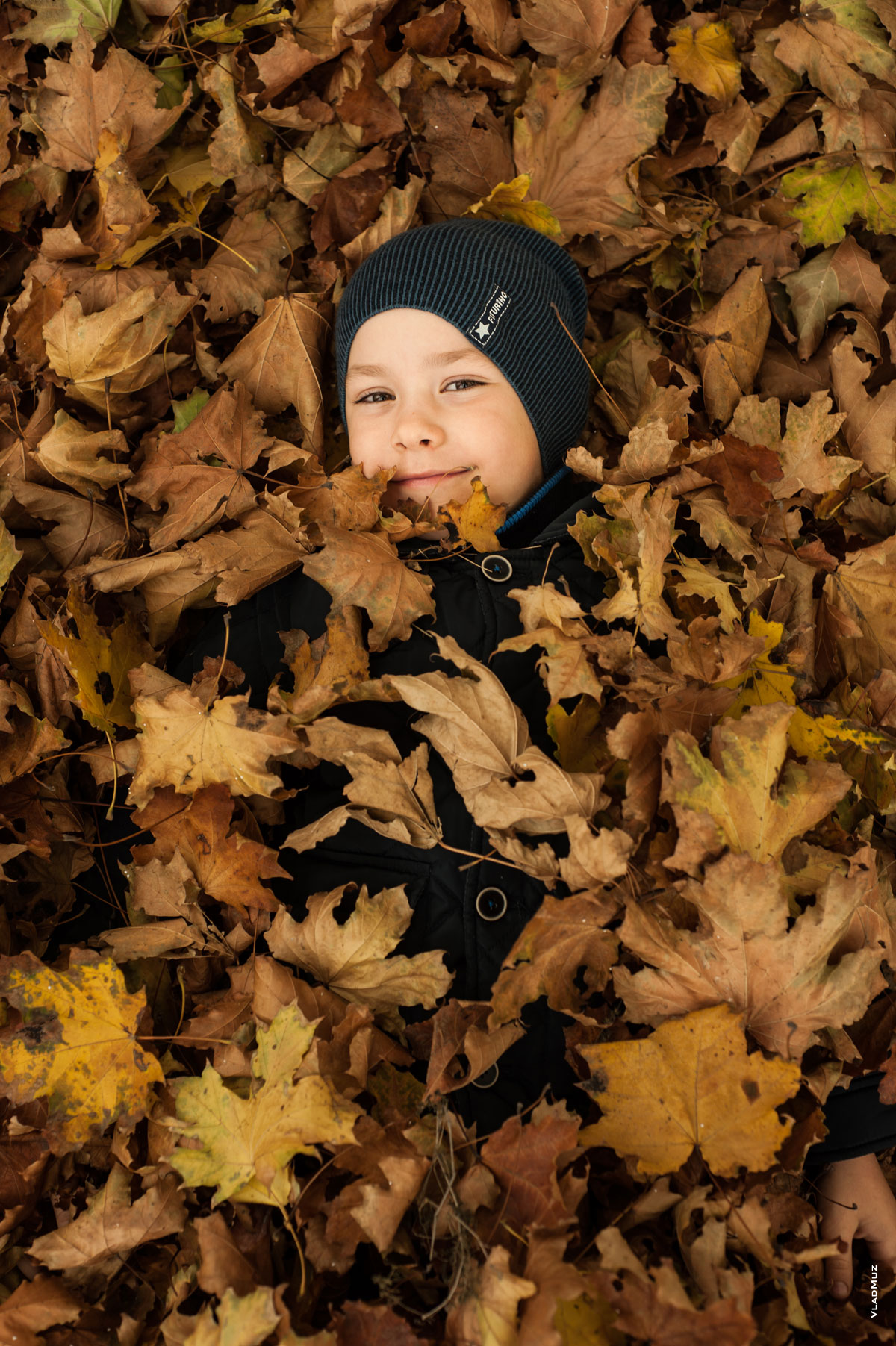 Осеннее портретное фото мальчика, лежащего среди желтых кленовых листьев