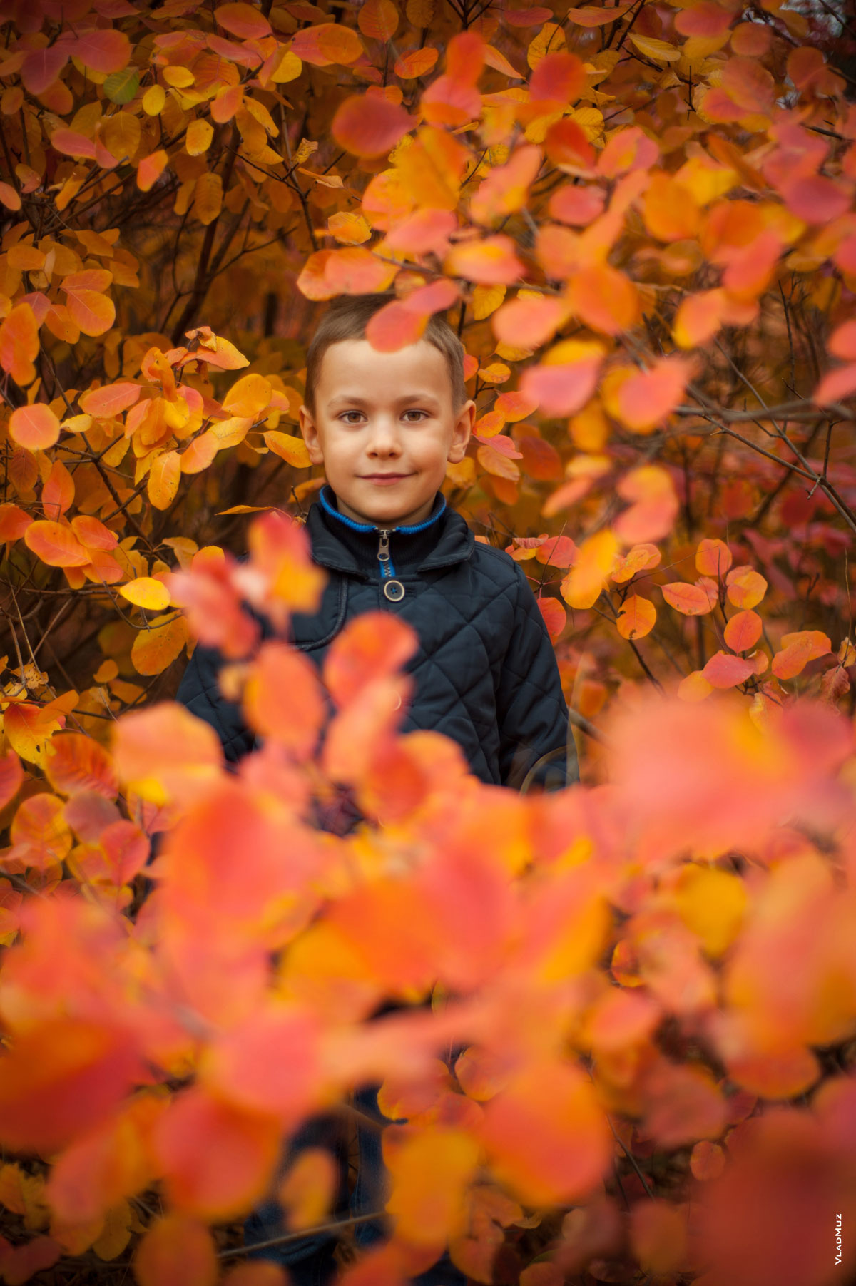 Фотопортрет мальчика осенью на фоне красно-желтых листьев