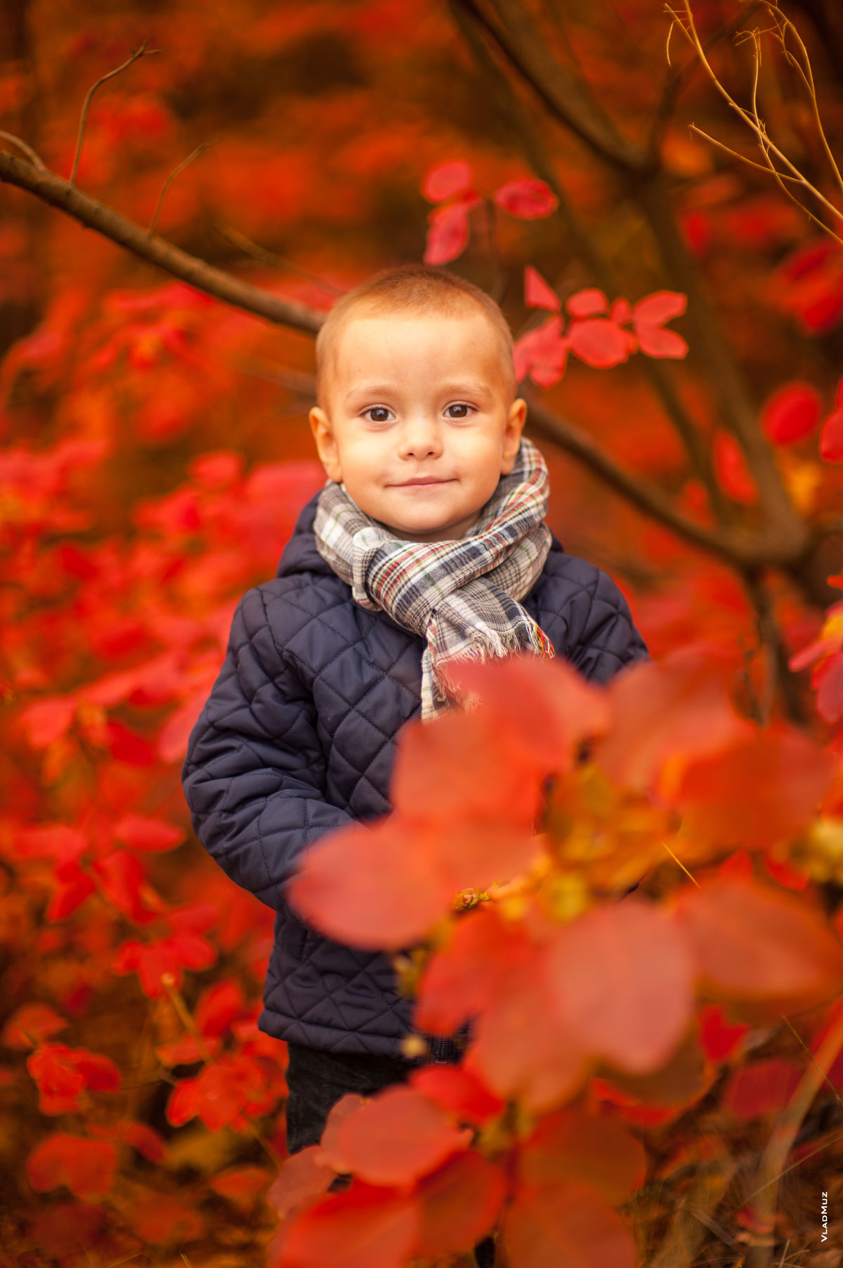 Фотопортрет малыша осенью на фоне красных листьев скумпии