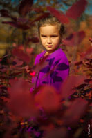 Яркий осенний портрет девочки в солнечном свете среди красных листьев