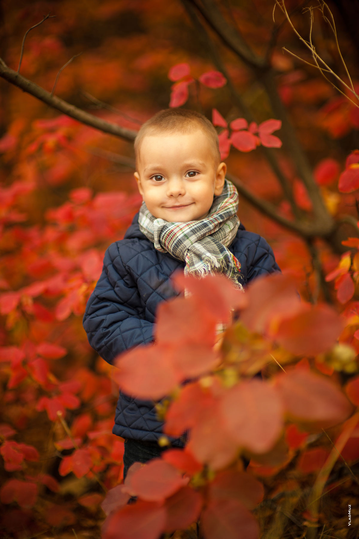 Фото портрет малыша осенью в «красном лесу»