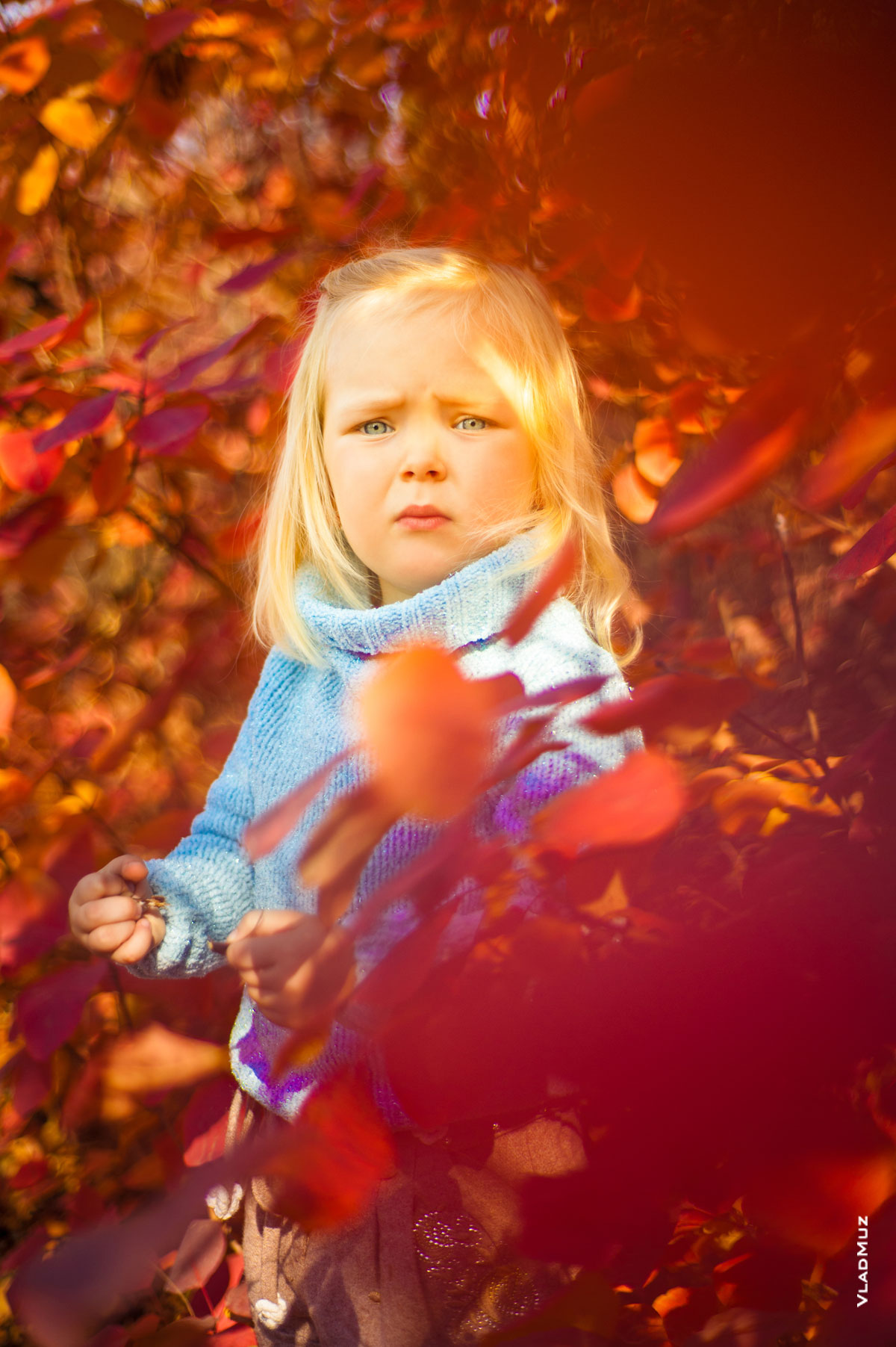 Яркое портретное фото девочки осенью в лучах солнца на фоне красных листьев