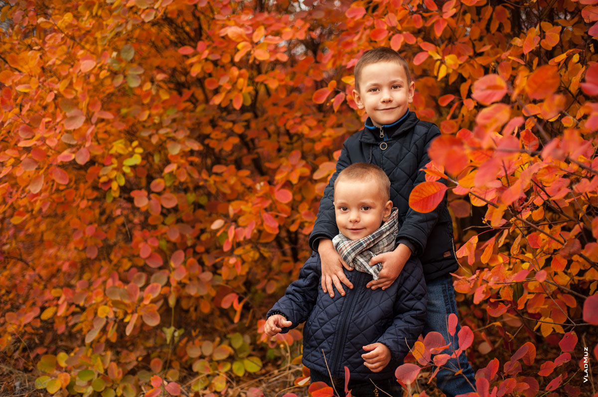 Фото портрет 2-х мальчиков осенью на фоне красно-желтых кустов скумпии
