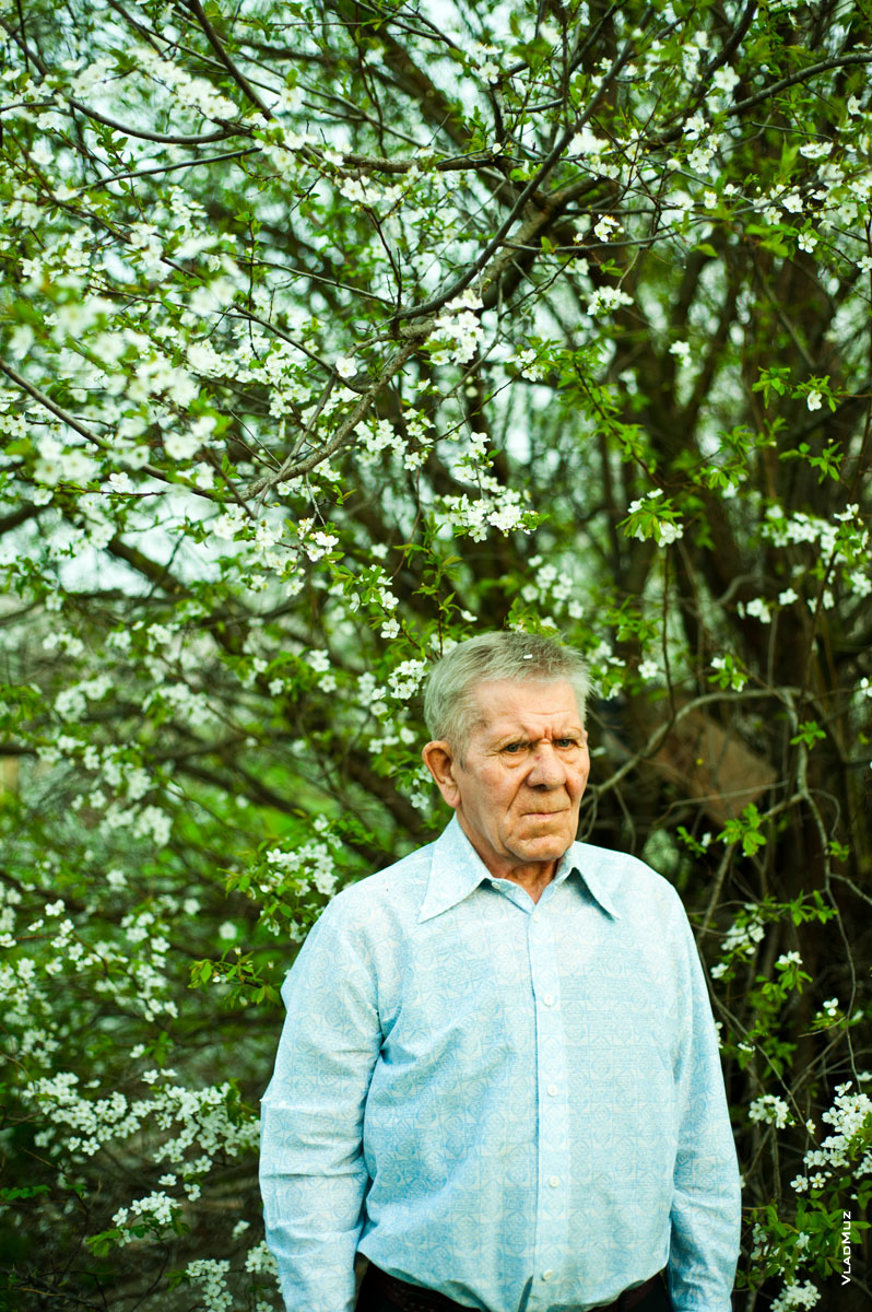 Жанровый весенний фото портрет пожилого мужчины со строгим взглядом на фоне цветущего дерева