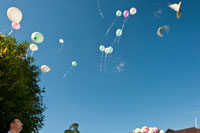 Фото улетающих белых свадебных голубей и воздушных шаров