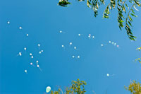 Фото парящих свадебных шаров в небе над Королевом