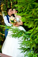 Фото свадебного поцелуя из-за хвойных ветвей