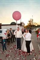 Фото жениха с воздушным шаром рядом с невестой и тамадой
