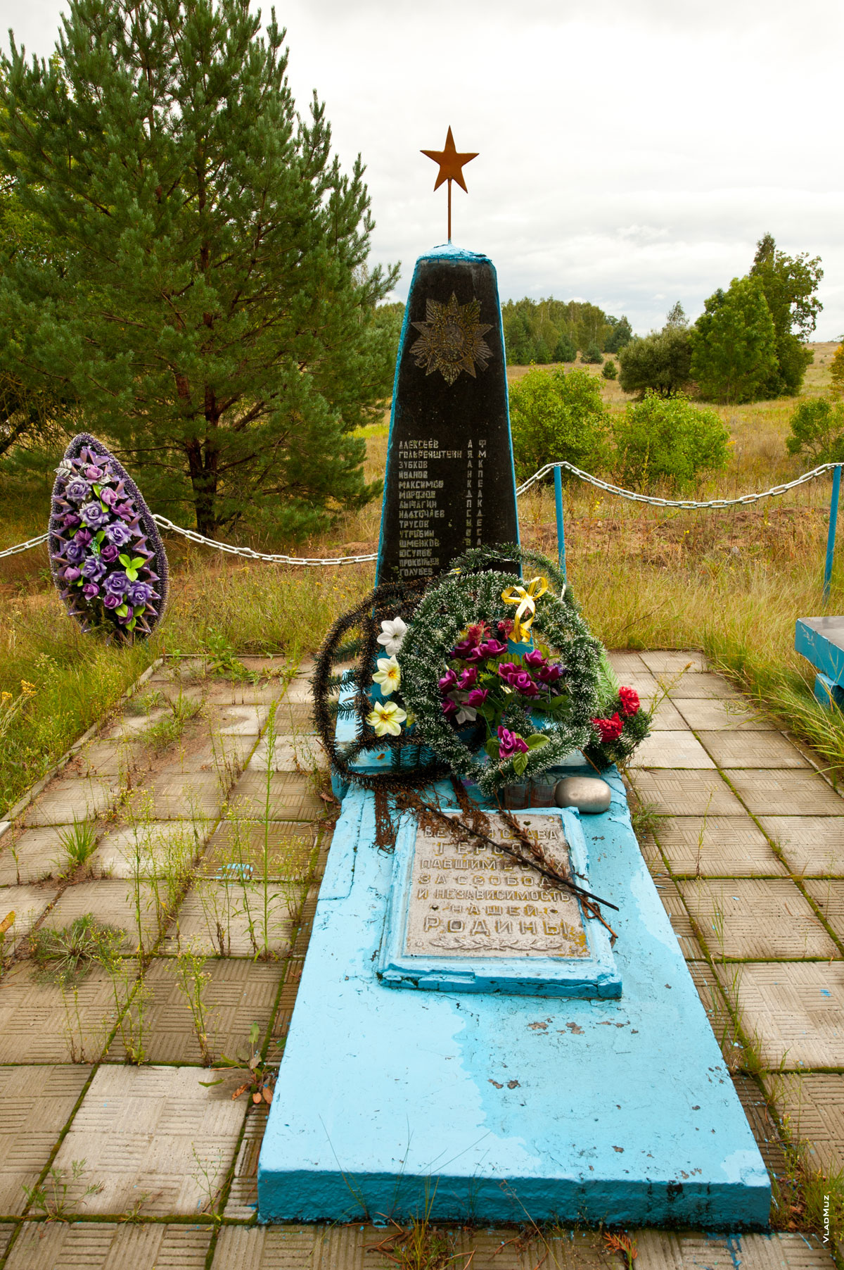 Фото братской могилы в белорусской деревне Липа крупным планом
