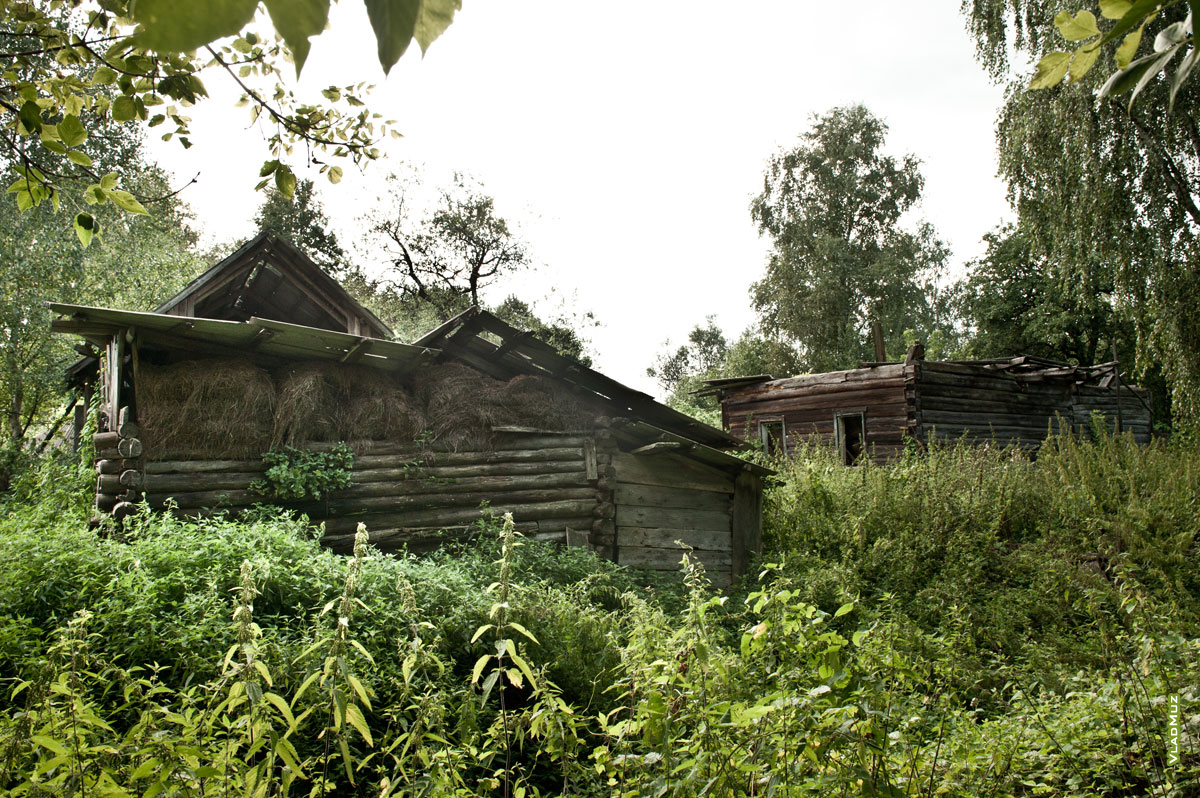 Фото брошенных сараев с сеном и разрушенного деревянного дома в деревне Науховичи, в Белоруссии