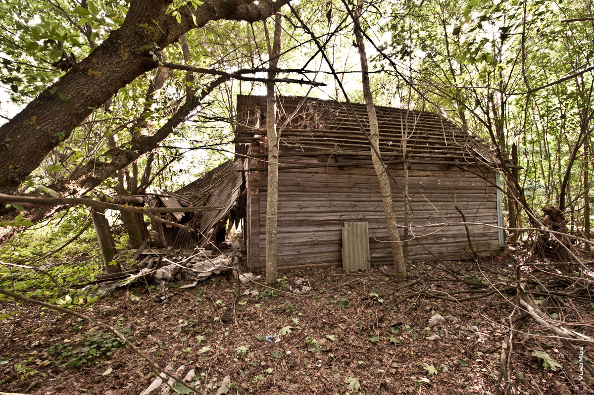 Фото заброшенного деревянного дома сбоку
