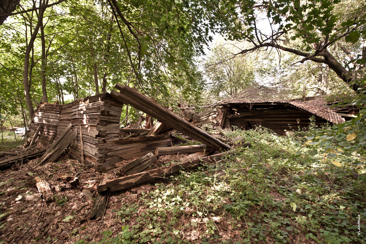 Фото 2-х разрушенных деревянных домов в деревне