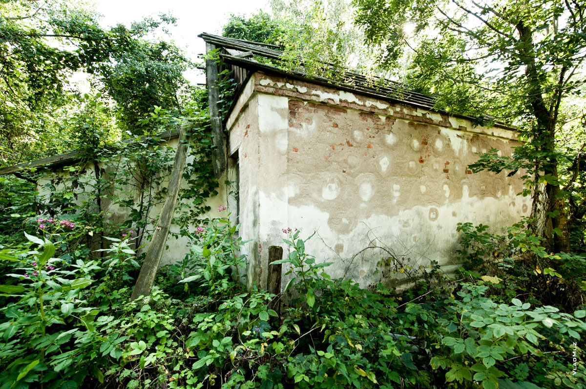 Фото брошенного и заросшего травой каменного дома