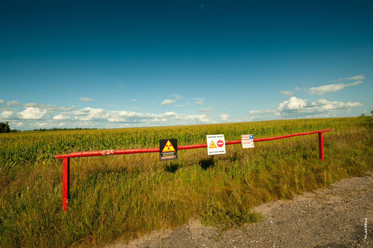 Фото полей кукурузы за шлагбаумом с предупреждением о радиоактивном загрязнении в Белоруссии