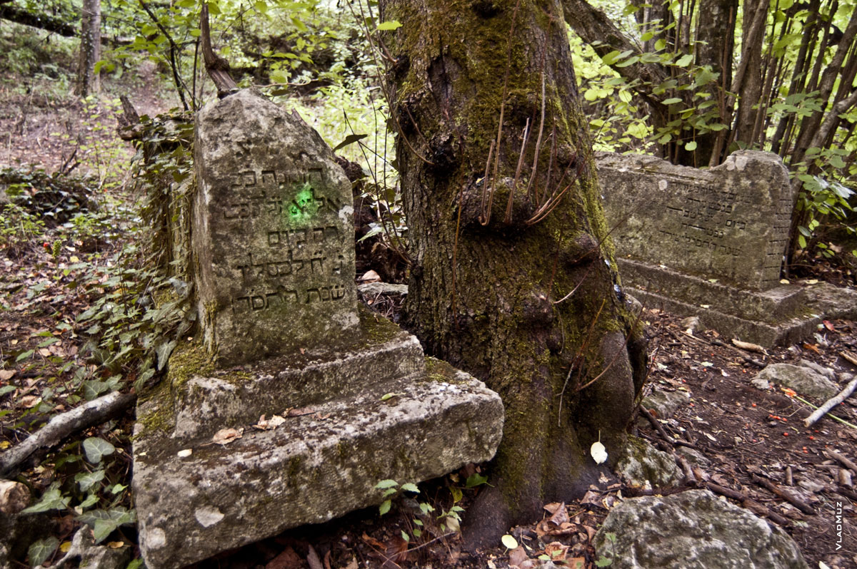 Эти надгробные камни на склоне Мангупа валялись повсюду, как попало