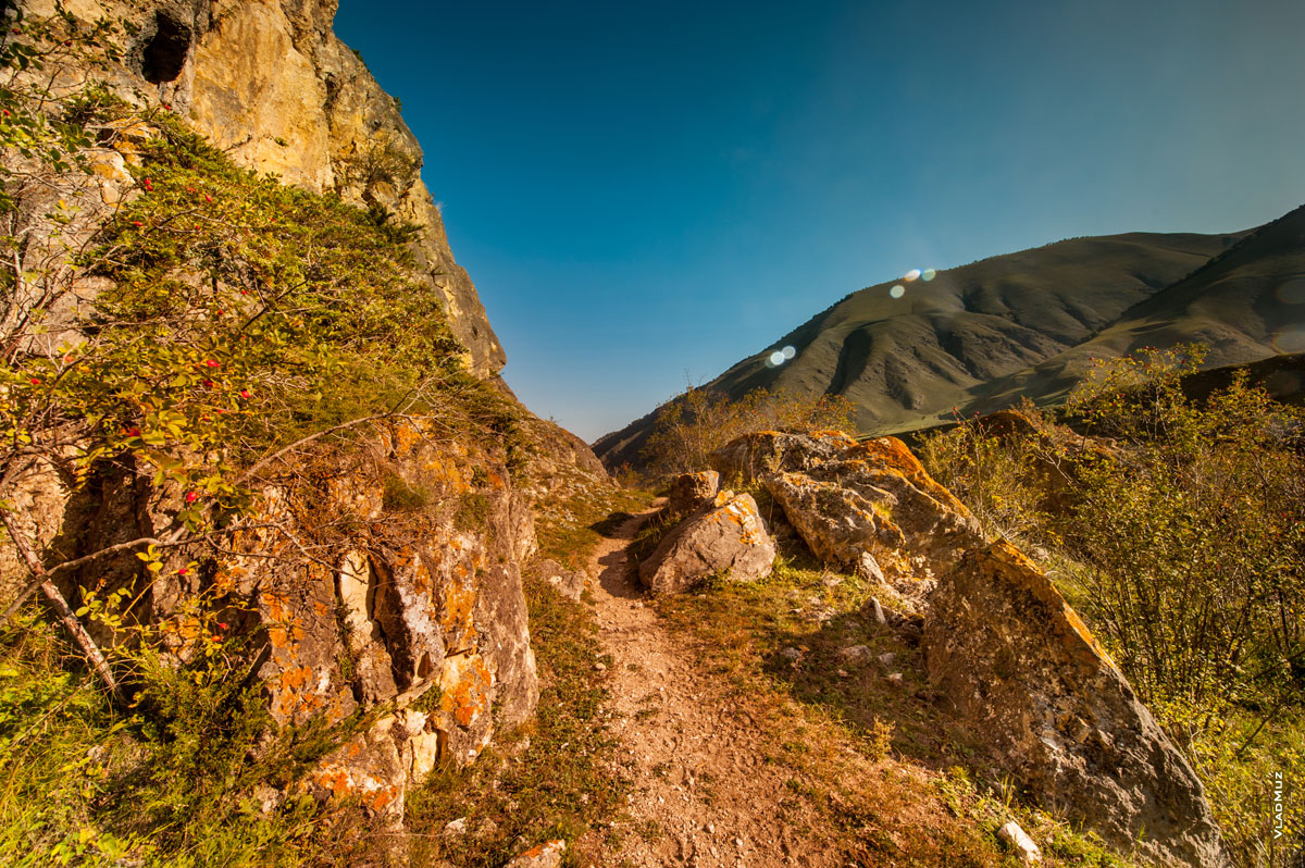 Чегемское ущелье в Кабардино-Балкарии, кусты шиповника, камни и тропа. Фото пейзаж