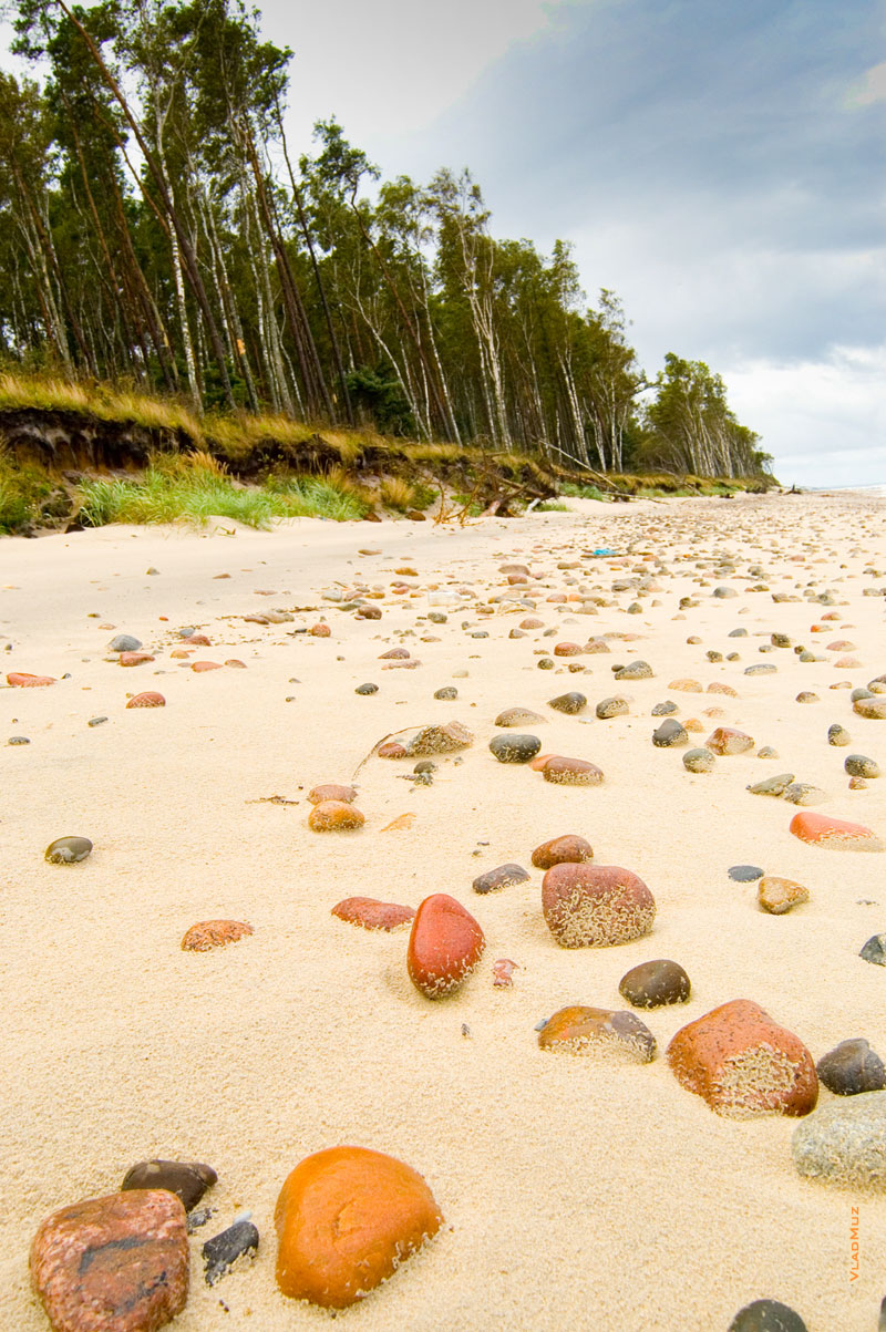 Фото на Куршской косе. Берег Балтийского моря. Фотопейзаж в HD качестве с разрешением 2000 на 3000 пикселей