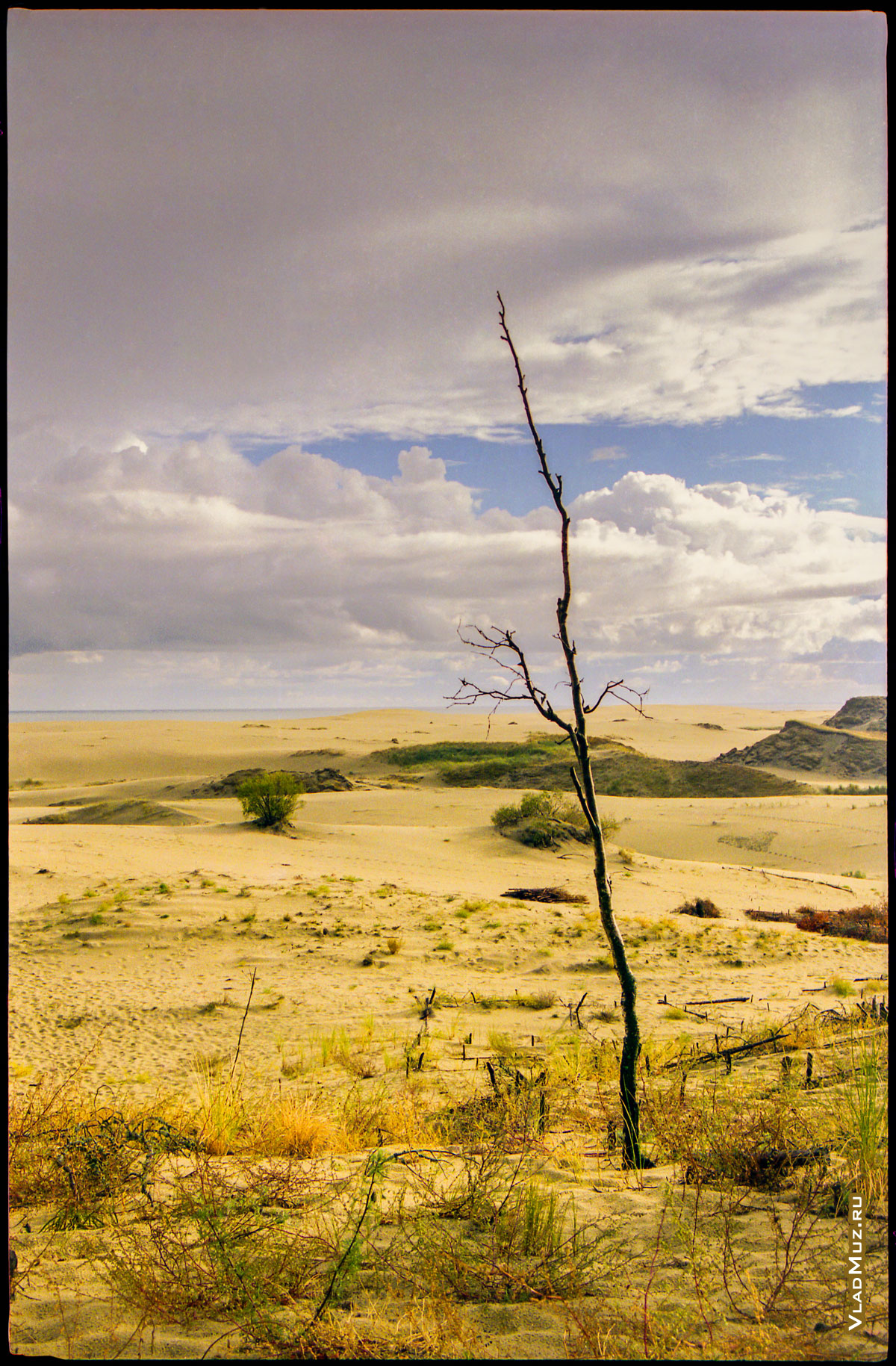 Куршская коса. Песчаный фото пейзаж в районе высоты Эфа