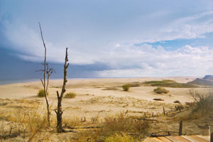 Фотографии Куршской косы: фото высота Мюллера, танцующий лес, дюны Эфа