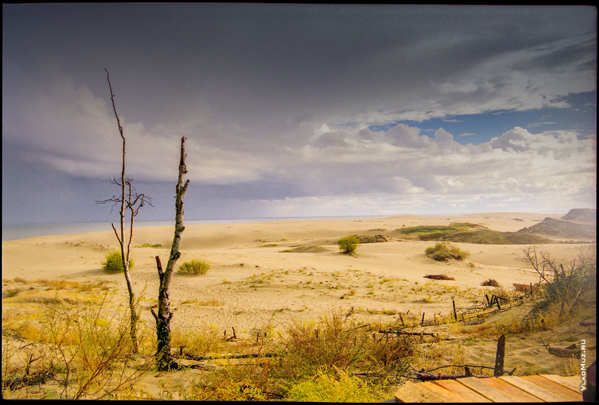 Куршская коса. Слева — Куршский залив. Песчаный пейзаж на высоте Эфа