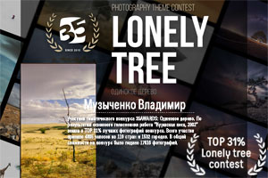  TOP 31% Lonely tree contest       35AWARDS:  