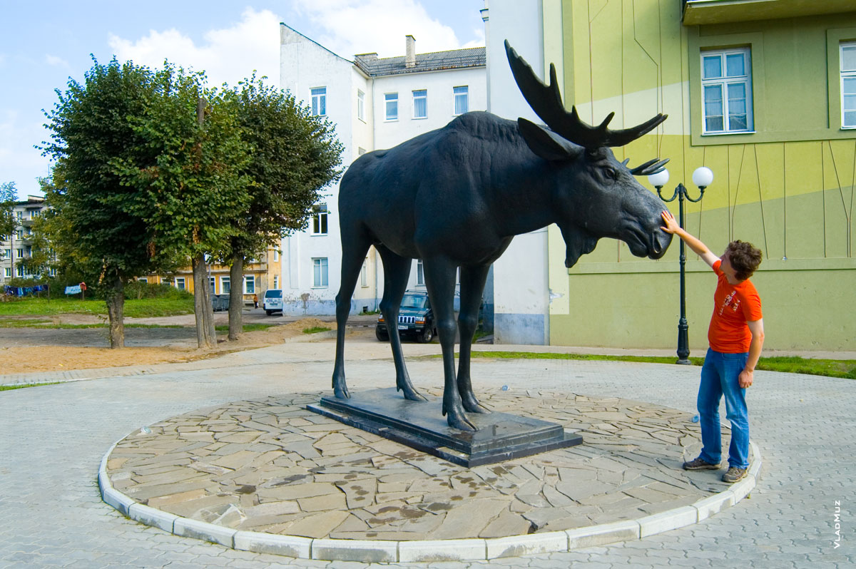 Памятник лосю в городе Советске, Калининградская область