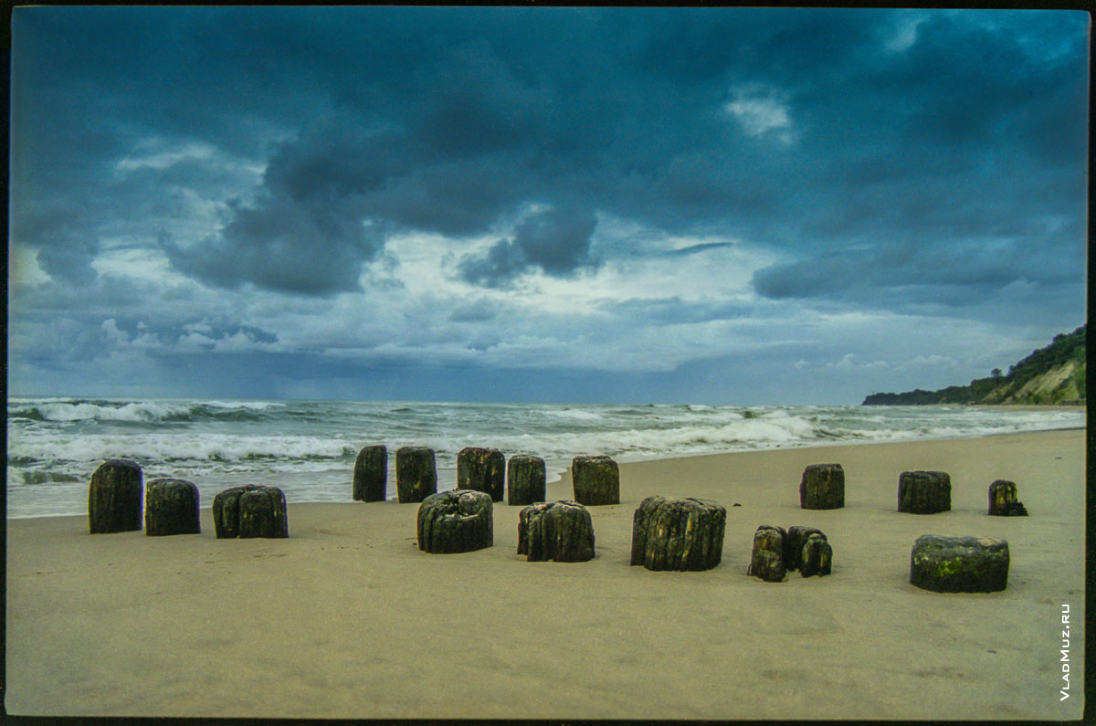 Морской фотопейзаж: деревянные сваи, Балтийское море и тяжелое синее небо