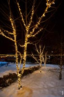 Фото горящих новогодних гирлянд на деревьях в сквере Покорителей космоса в городе Королёве