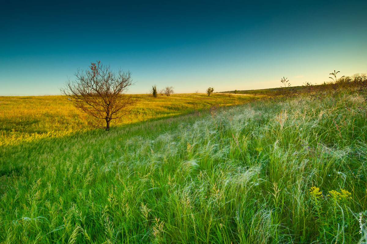 Красивый степной фото пейзаж с ковылью на склонах