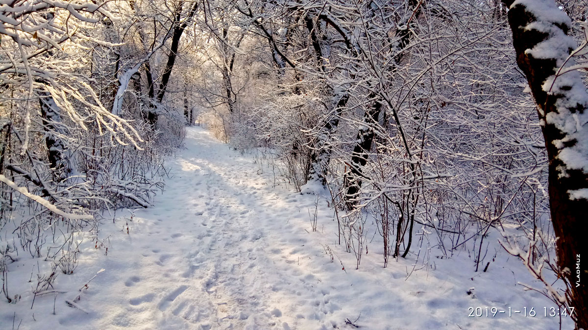 Новочеркасск. Зимние снежные фото пейзажи