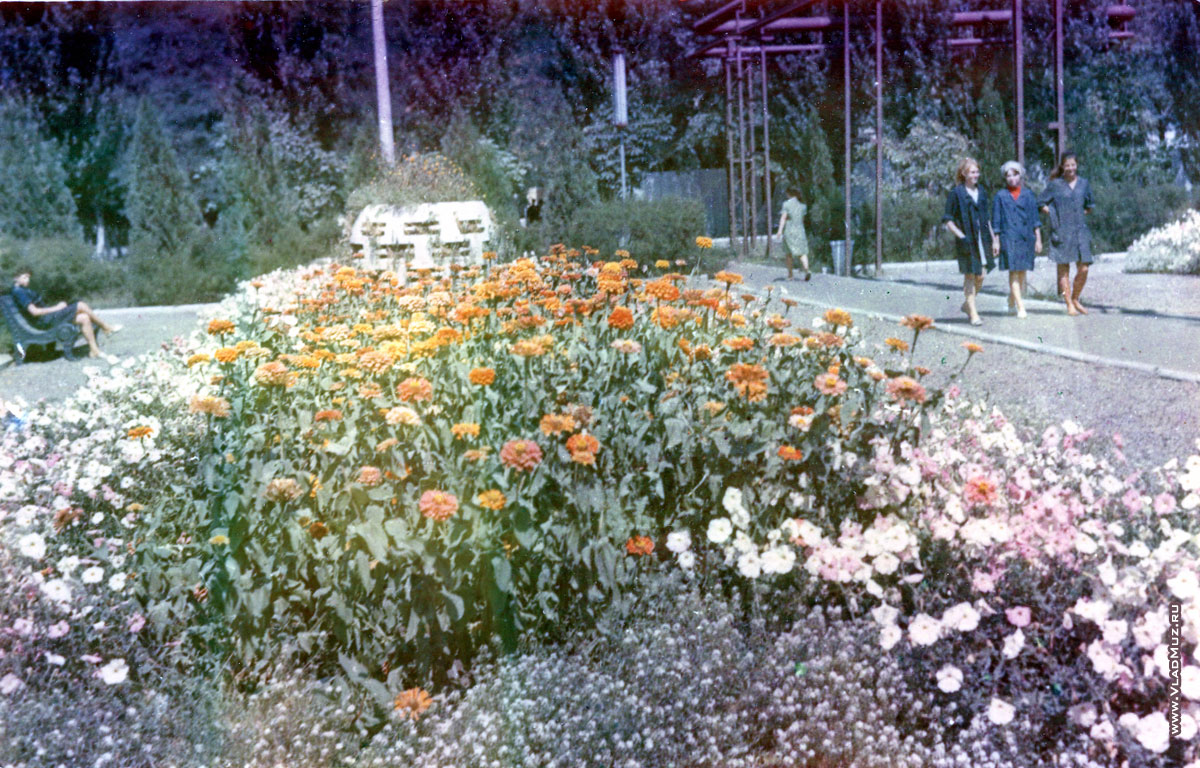 Клумба с цветами около обмоточного и новомашинного цеха, 1972 год