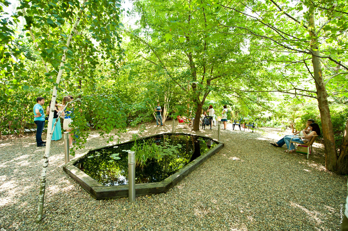 Гинкго парк в новочеркасске фото