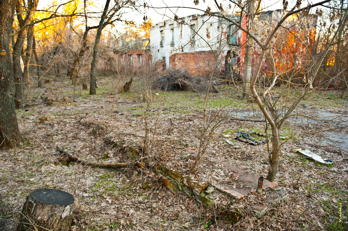 Фото разрушенных рукомойников в детском лагере «Звездочка Ильича» в Новочеркасске