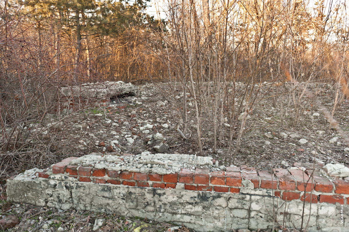 Фото развалин детского лагеря «Звездочка Ильича» в Новочеркасске
