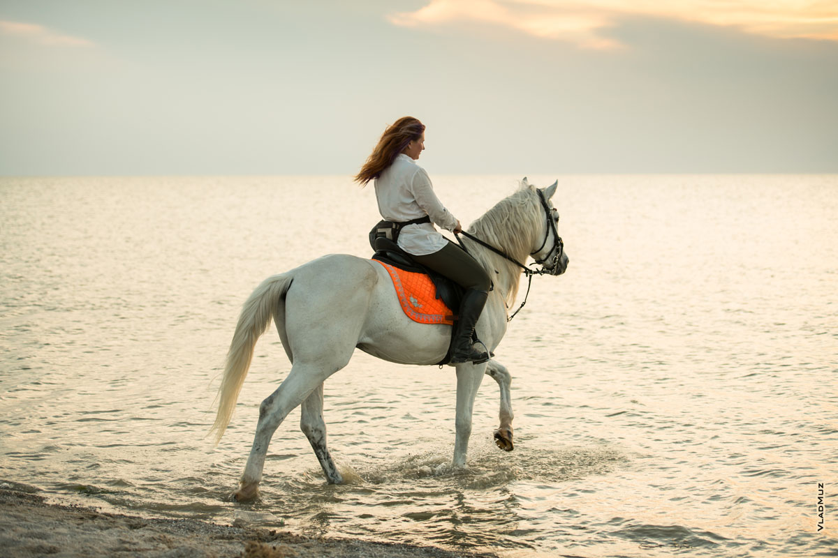 Павло-Очаковская коса, фото девушки на белом коне, входящем в море
