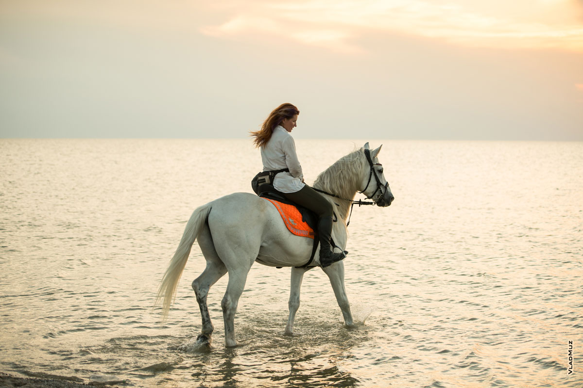 Фото девушки на коне на берегу Павло-Очаковской косы, на закате
