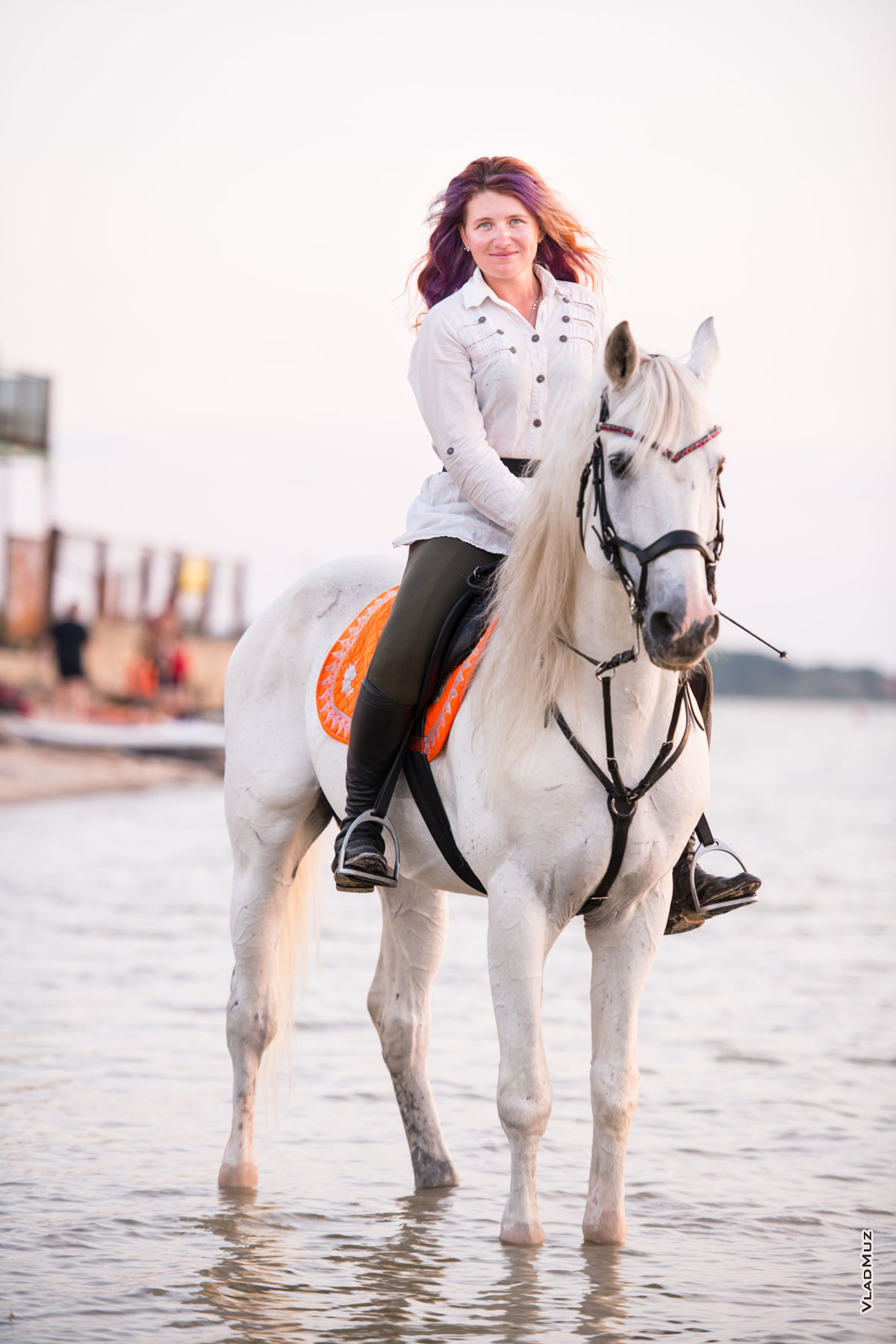 Фото девушки на белом коне в воде, крупным планом