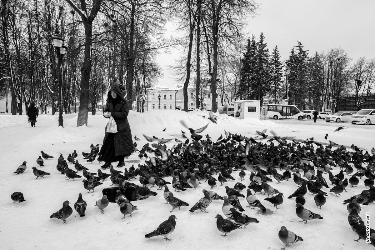 Уличная фотография женщины и стаи голубей на Красногорской площади в Сергиевом Посаде зимой