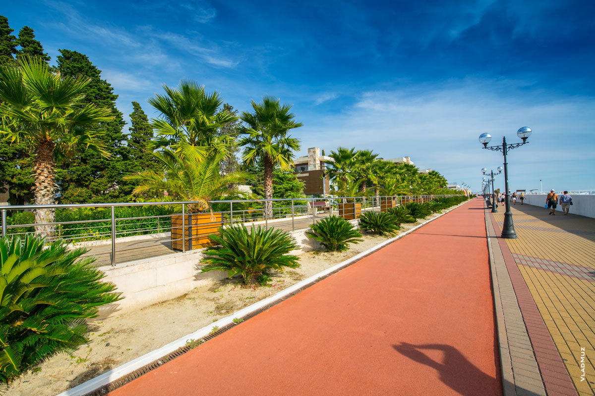 Ландшафты с пальмами и цикасами возле отелей на Имеретинской набережной в Адлере (Сочи)