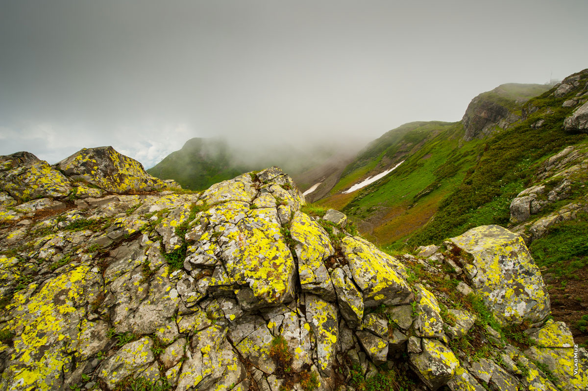 Фото желтых лишайников на камнях. Горный фотопейзаж в облаках на высоте «Роза Пик» летом